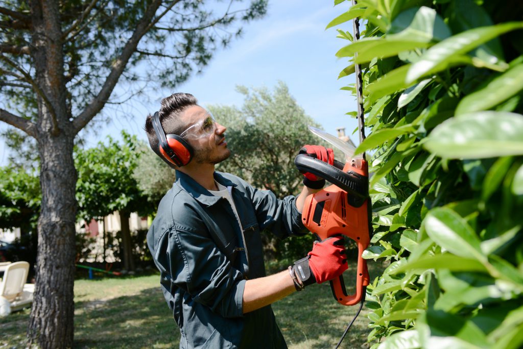 La jardinería es otro negocio rentable como para empezar ya que existe mercado y leyes claras sobre la altura de los céspeds.