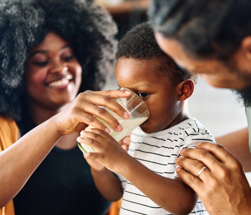 Las escuelas o instituciones deben ofrecer únicamente la leche pasteurizada, sin grasa o baja en grasa.